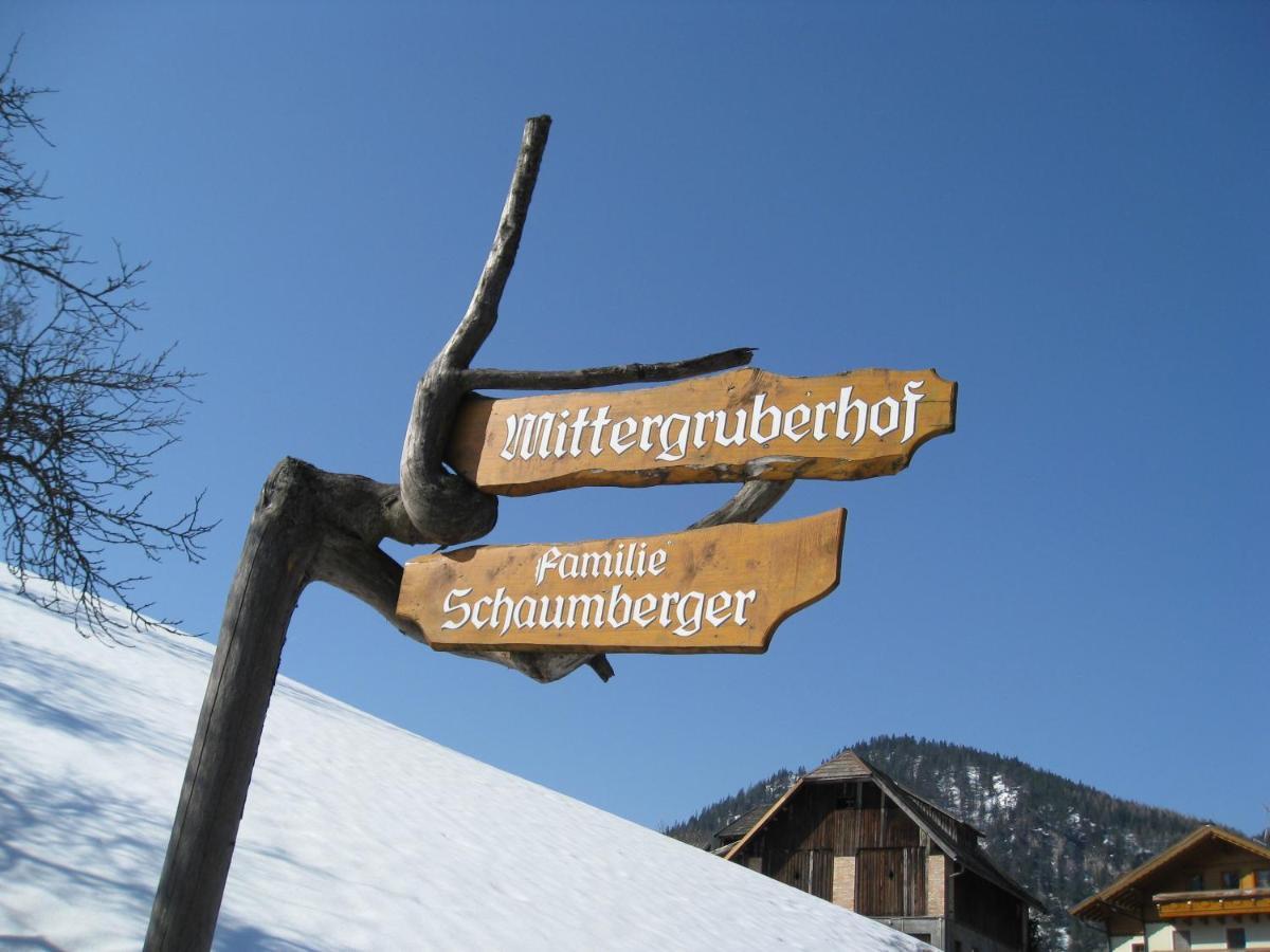 斯拉德明Mittergruberhof住宿加早餐旅馆 外观 照片